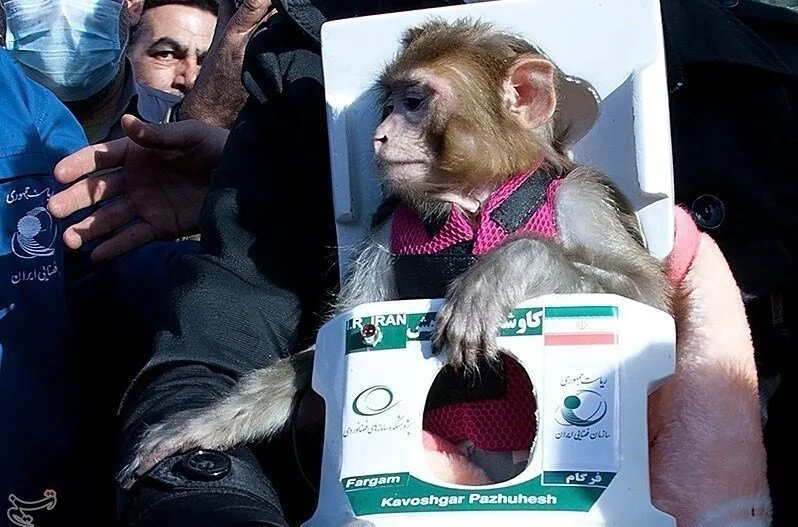 میمون فضانورد ایرانی
