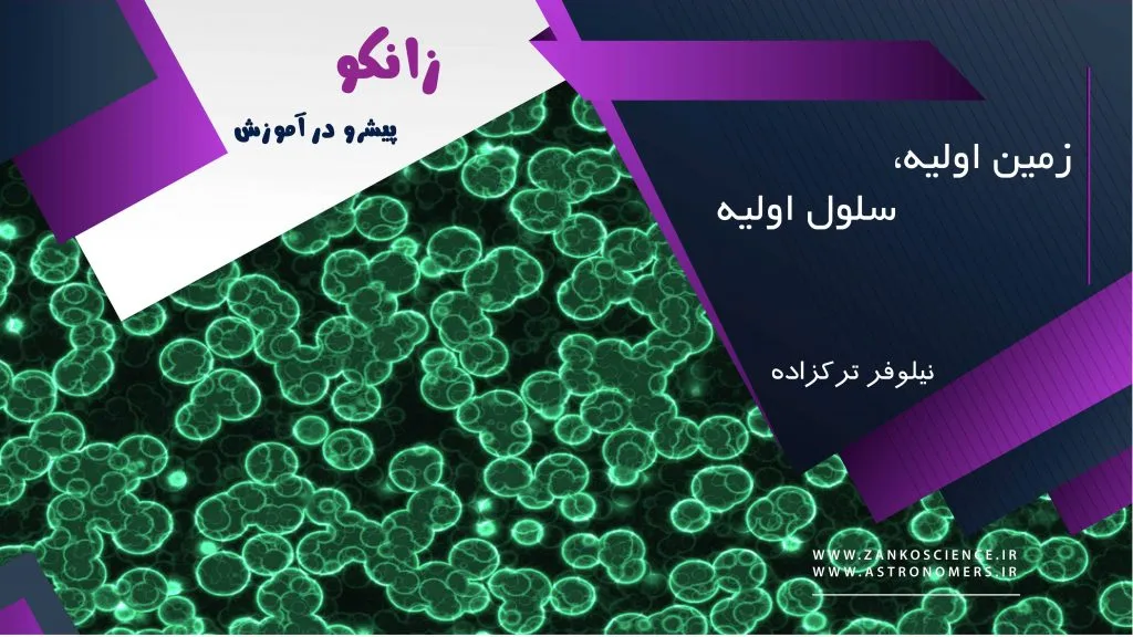 زمین اولیه