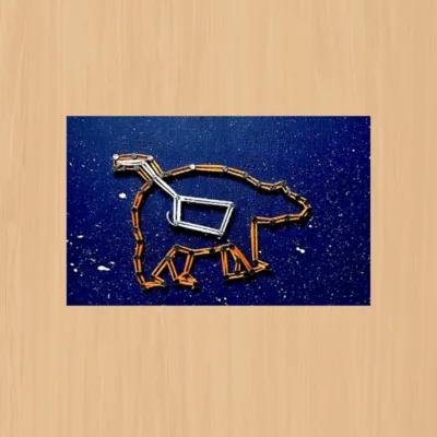 میخ بافت دب اکبر